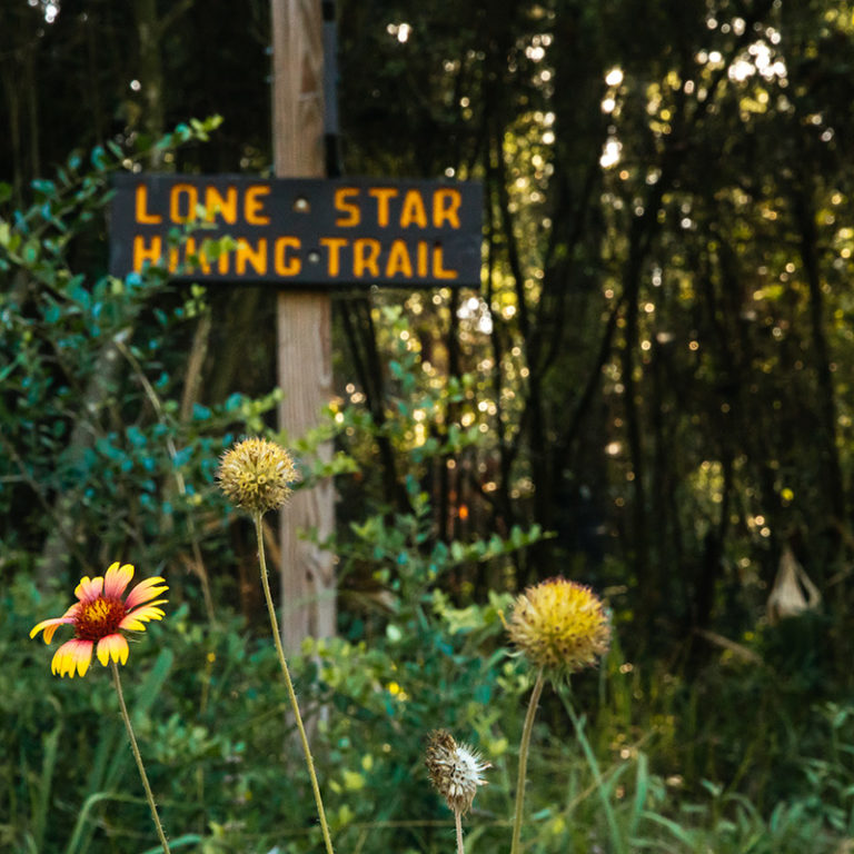 Texas Property for Sale Near Houston Texas Grand Ranch