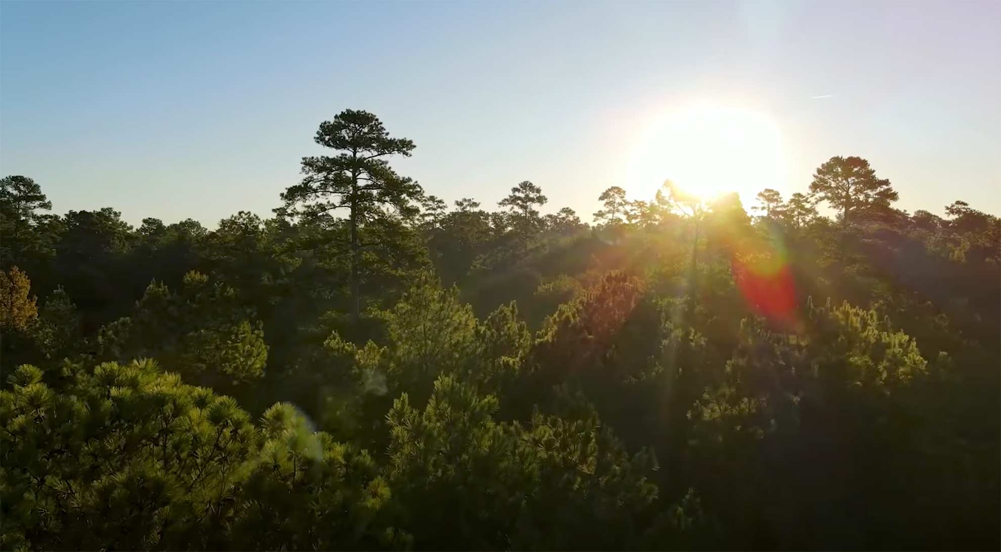 The Grand Ranches Information Center photo 2