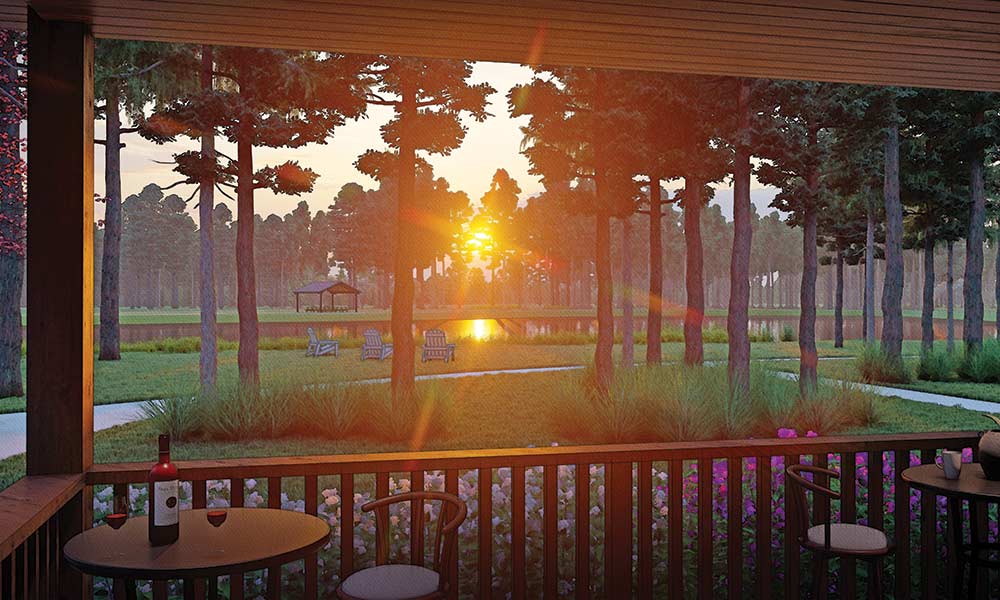modern homesteading in New Waverly