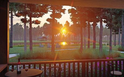 Join Us for the Biggest Land Sale of The Year in New Waverly at Our Grand Opening Event