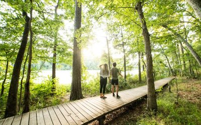 Why Land Near National Forests and State Parks Holds Its Value